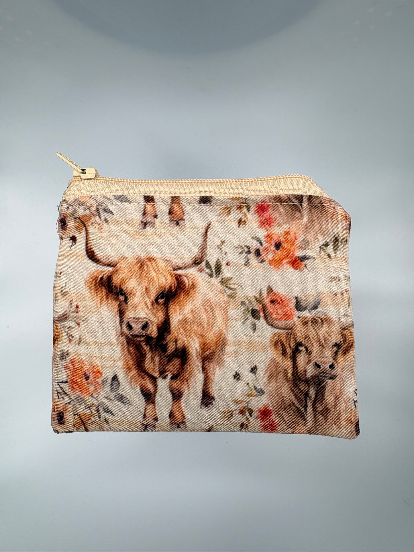 Highland Cow