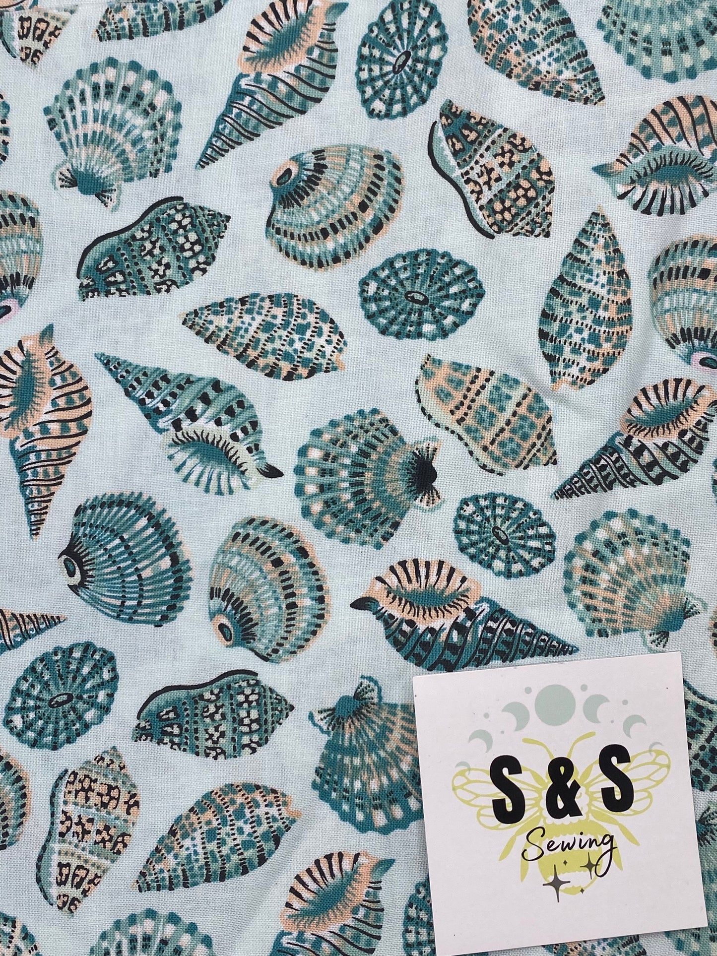 FN - Teal Seashells
