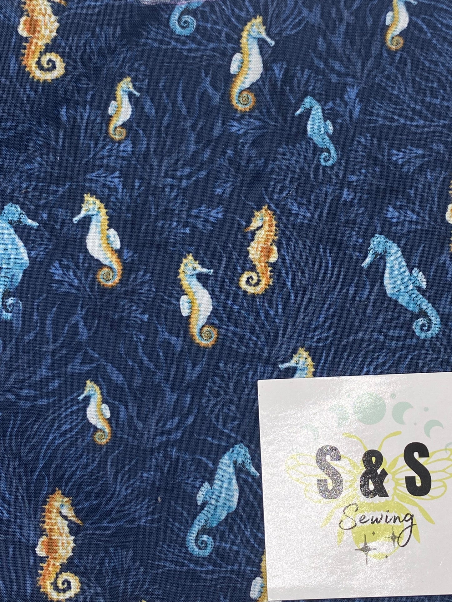 FN - Seahorses