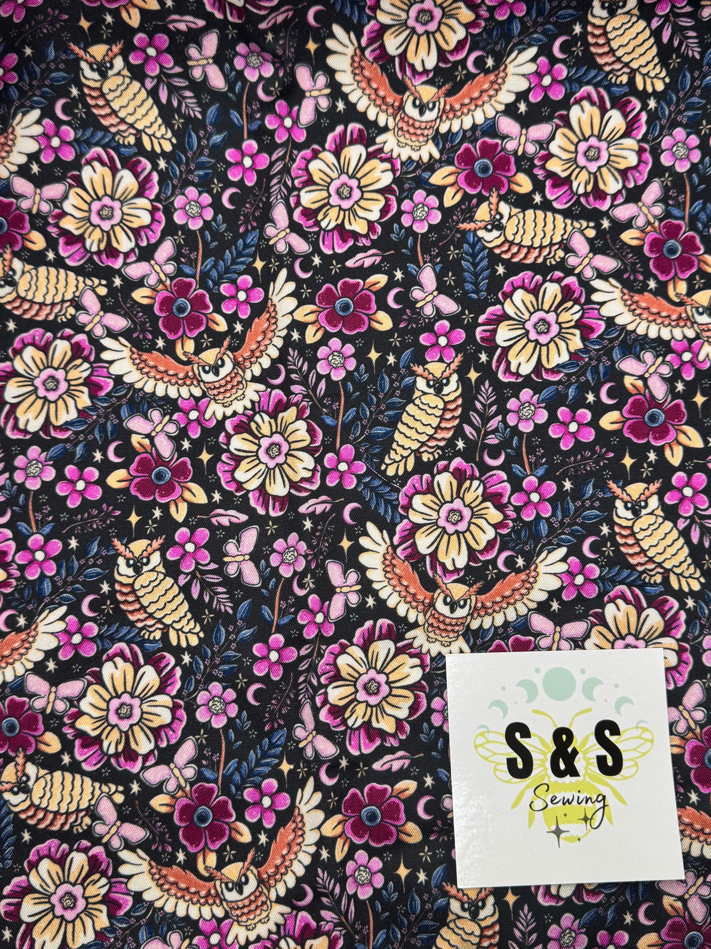 AI - Traditional Owl