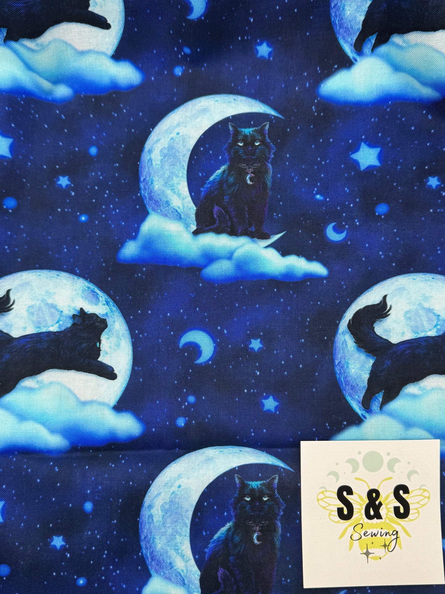 AI - Blue Moon Kitty