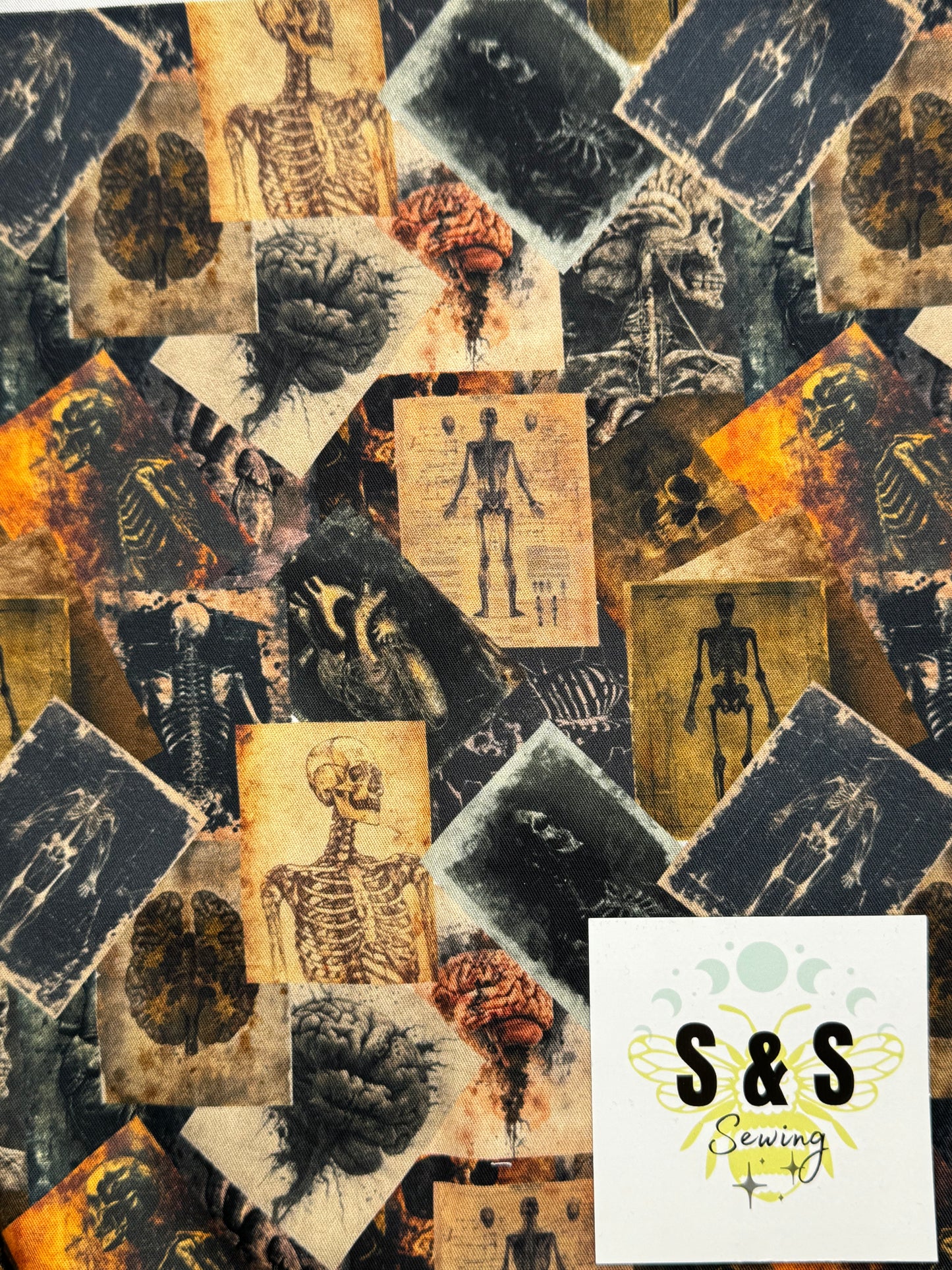 WO - Antique Anatomy