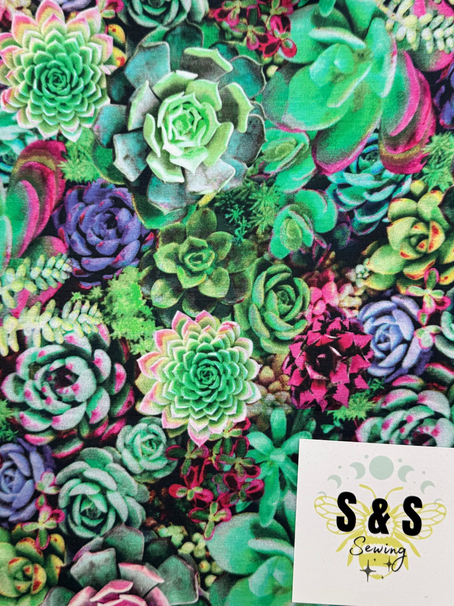 FL - Neon Succulents