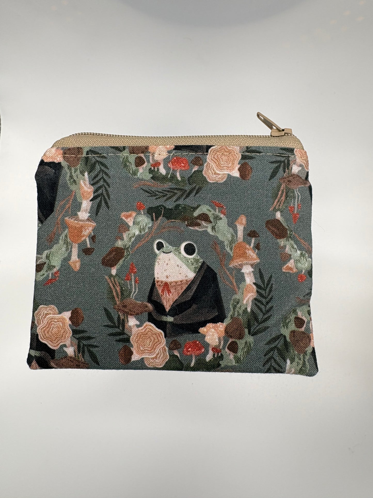 Mr. Fancy Frog